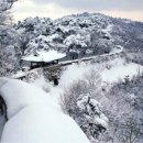 산성가축 이미지