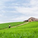 한들목장 이미지