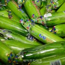2018년 4월 3일 '인기짱' 청원생명애호박 이렇게 생산됩니다(세이프타임즈) 이미지