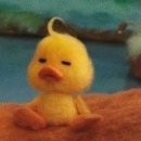 춘천산업 | 한국바이오협회 GMP 교육과정 면접 후기(춘천바이오산업진흥원)