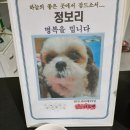 러브펫 반려동물장례식장 이미지