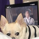 백수의 소비생활