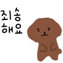 아이몽 애견 유치원 이미지