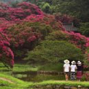 담양 소산정 이미지