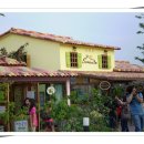 프로방스 이미지