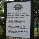 경주유치원 이미지