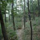 인성군묘 이미지