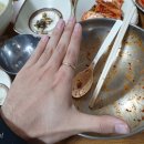전원손칼국수 이미지