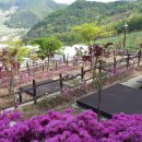 문경새재국민여가캠핑장 이미지