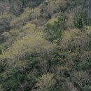 아름따다 이미지