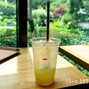 폴바셋서머셋