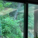 반호프블라트