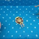 신정길 77 이미지