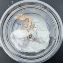 사림동239 이미지