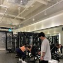 더바른피티 이미지