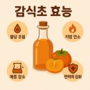 자연의선물 | 감식초 효능 건강을 위한 자연의 선물