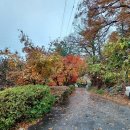 신토불이가든 이미지