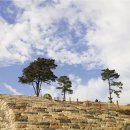 591차 대전 장태산 &amp; 계족산 정기산행(25.11.15) 이미지