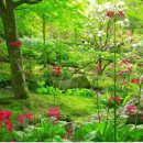 리디아의 정원 이미지