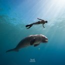 물결속으로 | 25.10.25(토)🍁 가을 물결 속으로 – 체리프리다이빙 AIDA 1+2 강습 후기