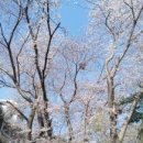 여좌천거리 이미지