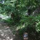 순천-34호 이미지