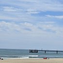 갈맷길2-1 이미지