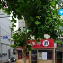 신원동-19 이미지