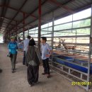 동산사슴목장 이미지