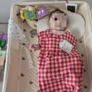 미모세탁 | 사진맛집｜베베드피노 베이비 실착 후기 (사이즈 팁 포함)