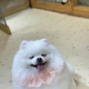 빛날시간 이미지