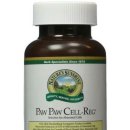 파우파우(PAW PAW) 이미지