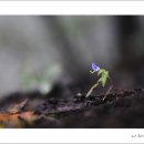 (주)명지