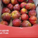 애자농장 이미지