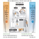 37.5도 이미지