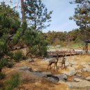 구봉산근린공원 이미지