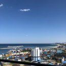 미니스톱강릉주문진점 | 강릉, 주문진 씨베이호텔 프리미어 더블 오션뷰 후기