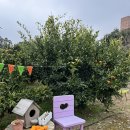 예원식당 이미지