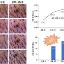 국립산림과학원
산림바이오소재연구소 이미지