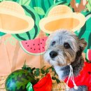 하률로12번길 이미지