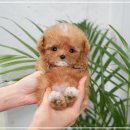 송이로14길 이미지