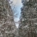 12/28(토) 장성 축령산 눈꽃산행 이미지