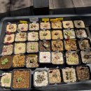 코노 몇 정리합니다. 이미지