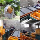 별이농장 이미지