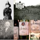 솔라리드 이미지