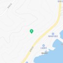 수피아라 A 이미지