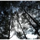 새론민박 이미지