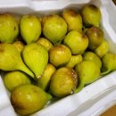 진도청과 이미지