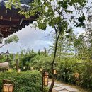 오릉 | 경주 오릉 대형 한옥카페 듀포레 내돈내산 후기