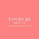 지식나무 이미지